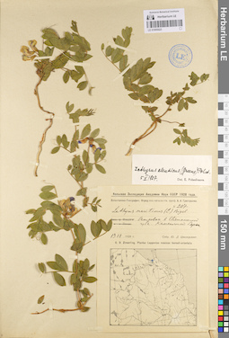 LE 01095023