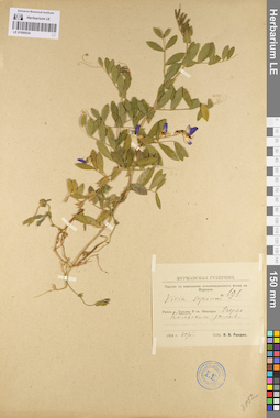 LE 01095034