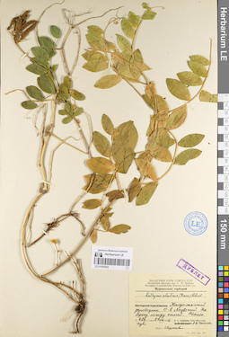 LE 01095083