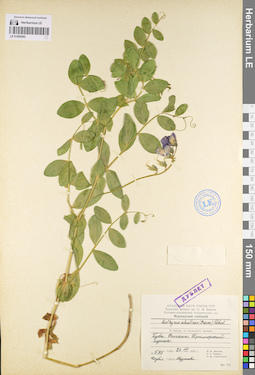 LE 01095085