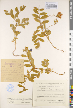 LE 01095088
