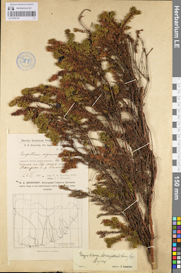 LE 01095139