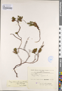 LE 01095140