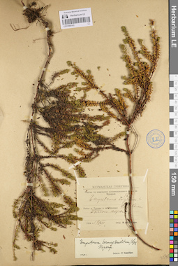LE 01095143