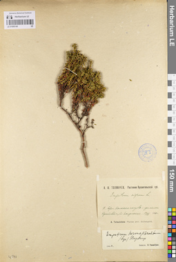 LE 01095149