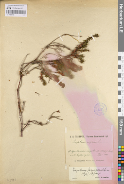 LE 01095151