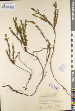 LE 01095192