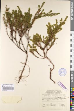LE 01095195