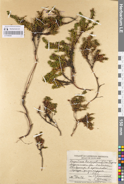 LE 01095200