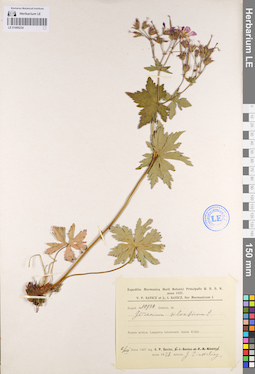 LE 01095234