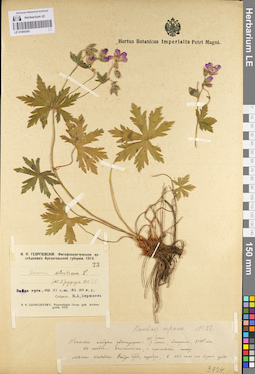 LE 01095269