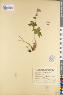 LE 01095270