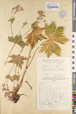 LE 01095293