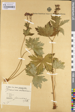 LE 01095297
