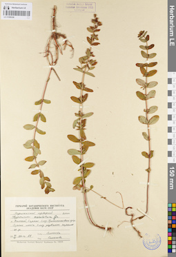 LE 01095336