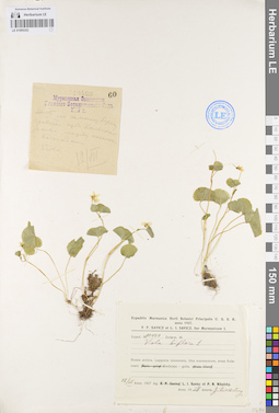 LE 01095353