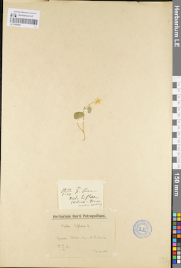 LE 01095401