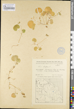 LE 01095413