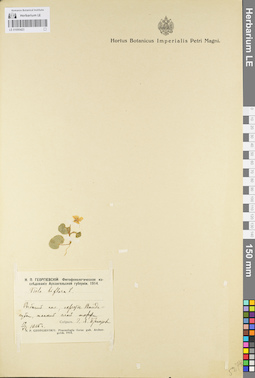 LE 01095423
