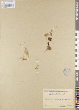 LE 01095426