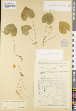 LE 01095473
