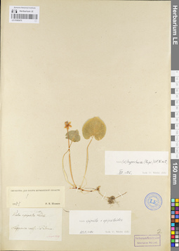 LE 01095475