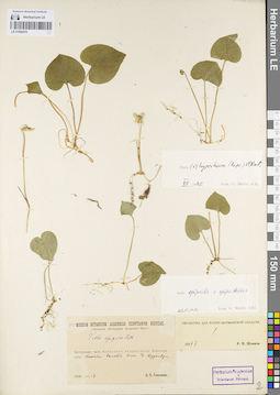 LE 01095476