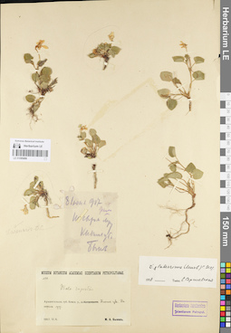 LE 01095496