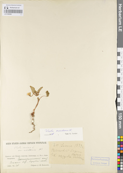 LE 01095509