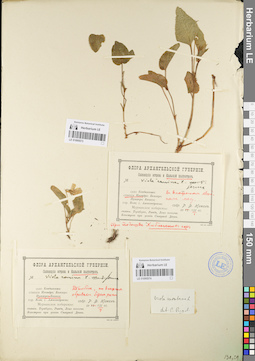 LE 01095573