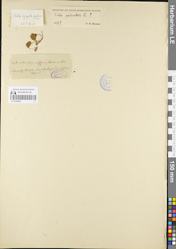 LE 01095603
