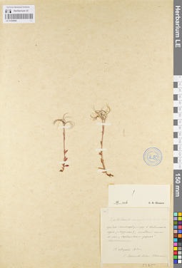 LE 01095668