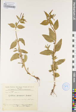 LE 01095690