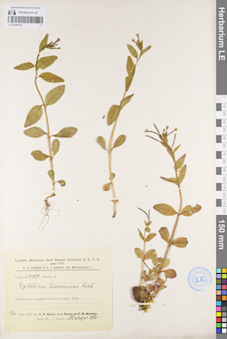 LE 01095707