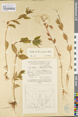 LE 01095722
