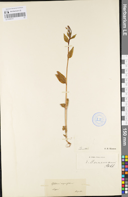 LE 01095731
