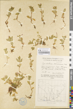 LE 01095734