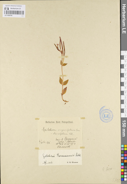 LE 01095760