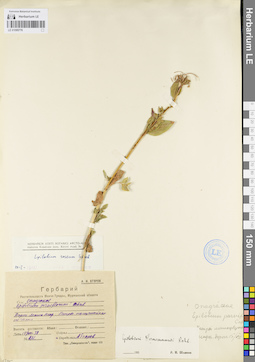 LE 01095776