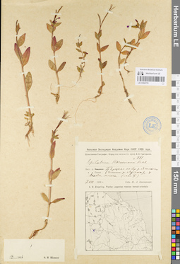 LE 01095779