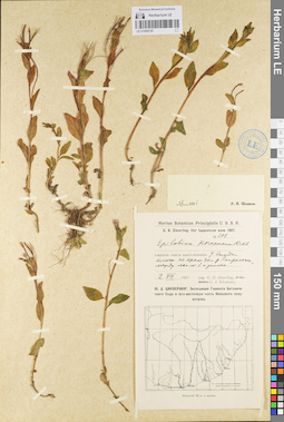 LE 01095787
