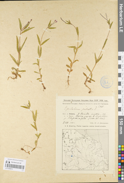 LE 01095810