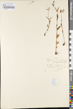 LE 01095819