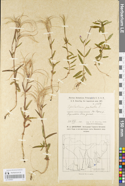 LE 01095823