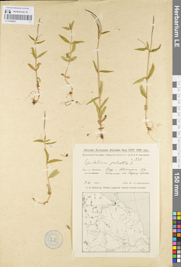 LE 01095824