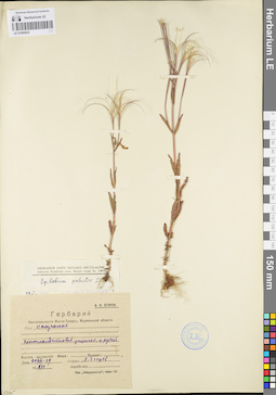 LE 01095825