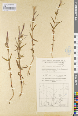 LE 01095828