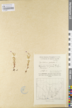 LE 01095860
