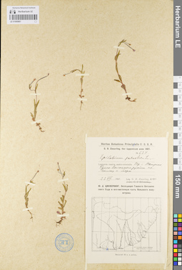 LE 01095861