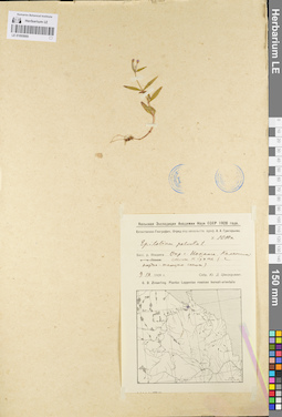 LE 01095869